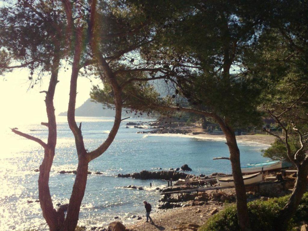 Appartement "Le Fabregas" 4 Pers Vue Mer 滨海拉塞讷 外观 照片